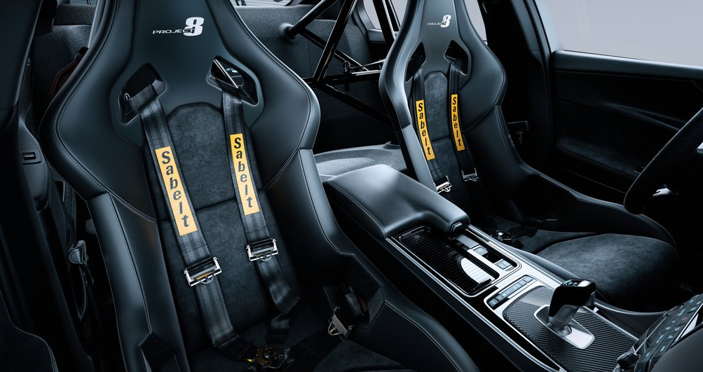 Jaguar Project 8